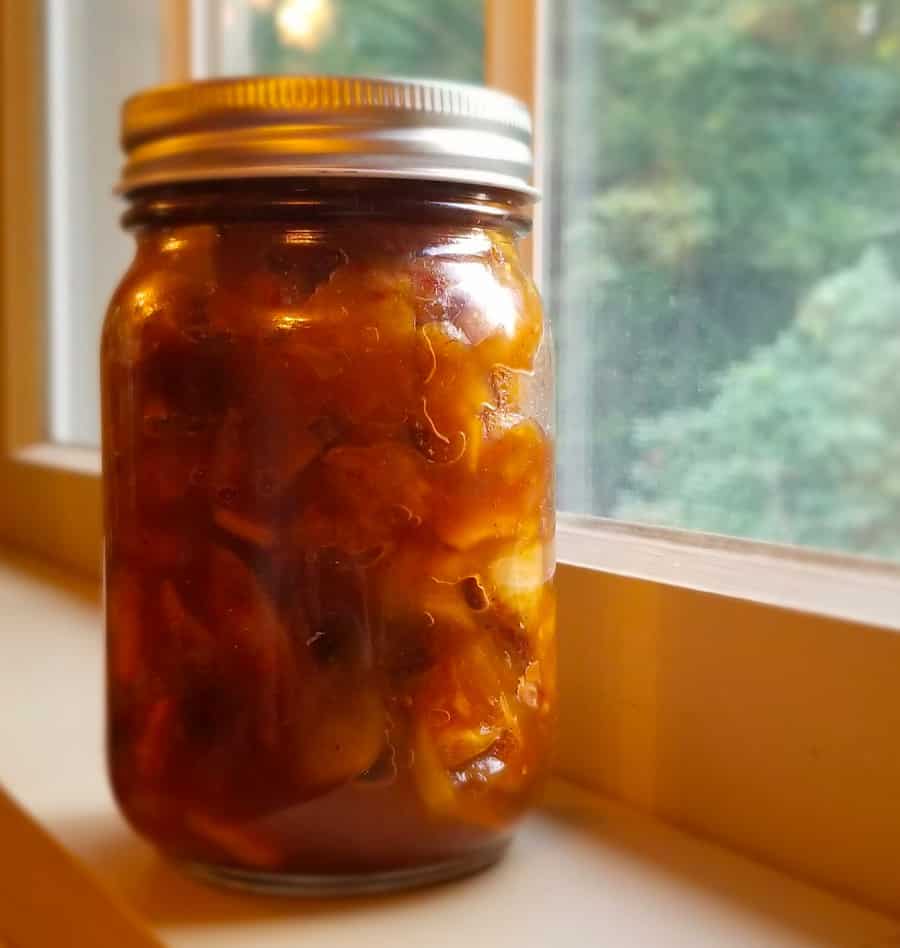 Apple Onion Chutney